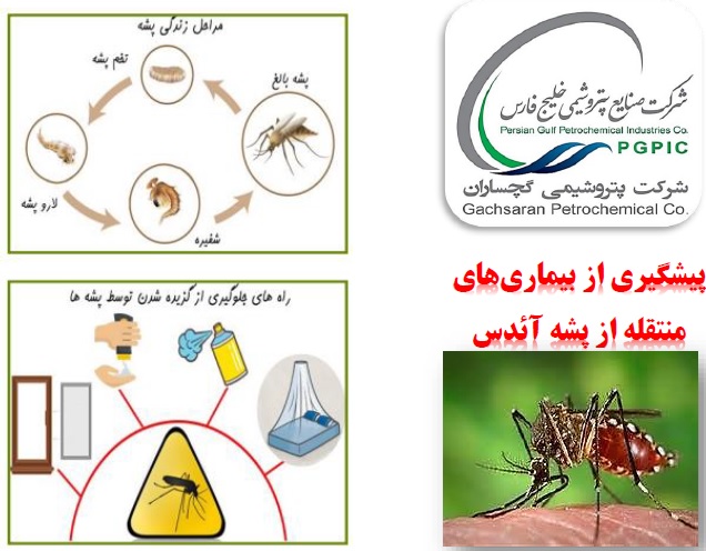 پمفلت آموزشی پشه آئدس و بیماری‌های مربوطه